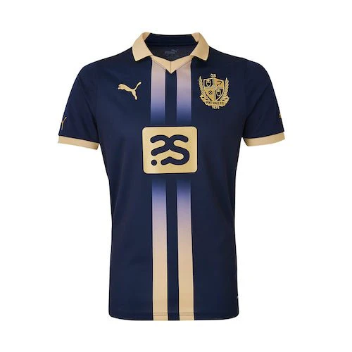 24/25 Third Mini Kit
